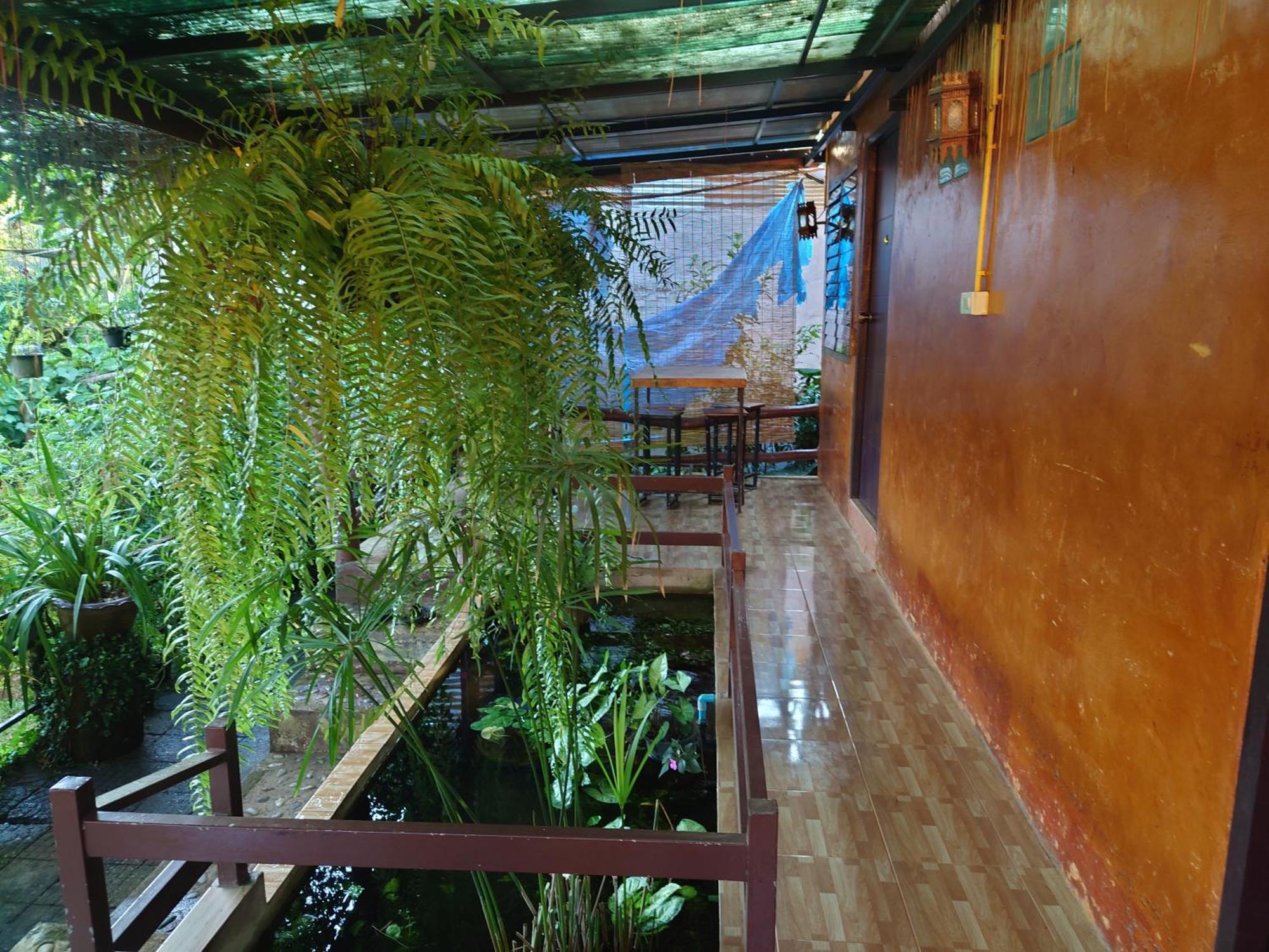 บ้านดินโฮมสเตย์ ปางอุ๋ง Ban Huai Makhuea Som المظهر الخارجي الصورة